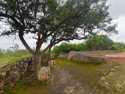 ಮಂಕಿ ಹಿಲ್ ಈಕೋ ಪಾರ್ಕ್